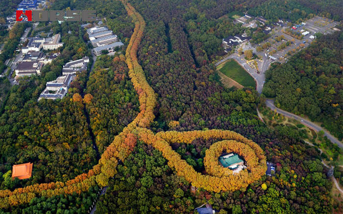 1508141906446862.jpg The Nanjing Meiling Palace.jpg