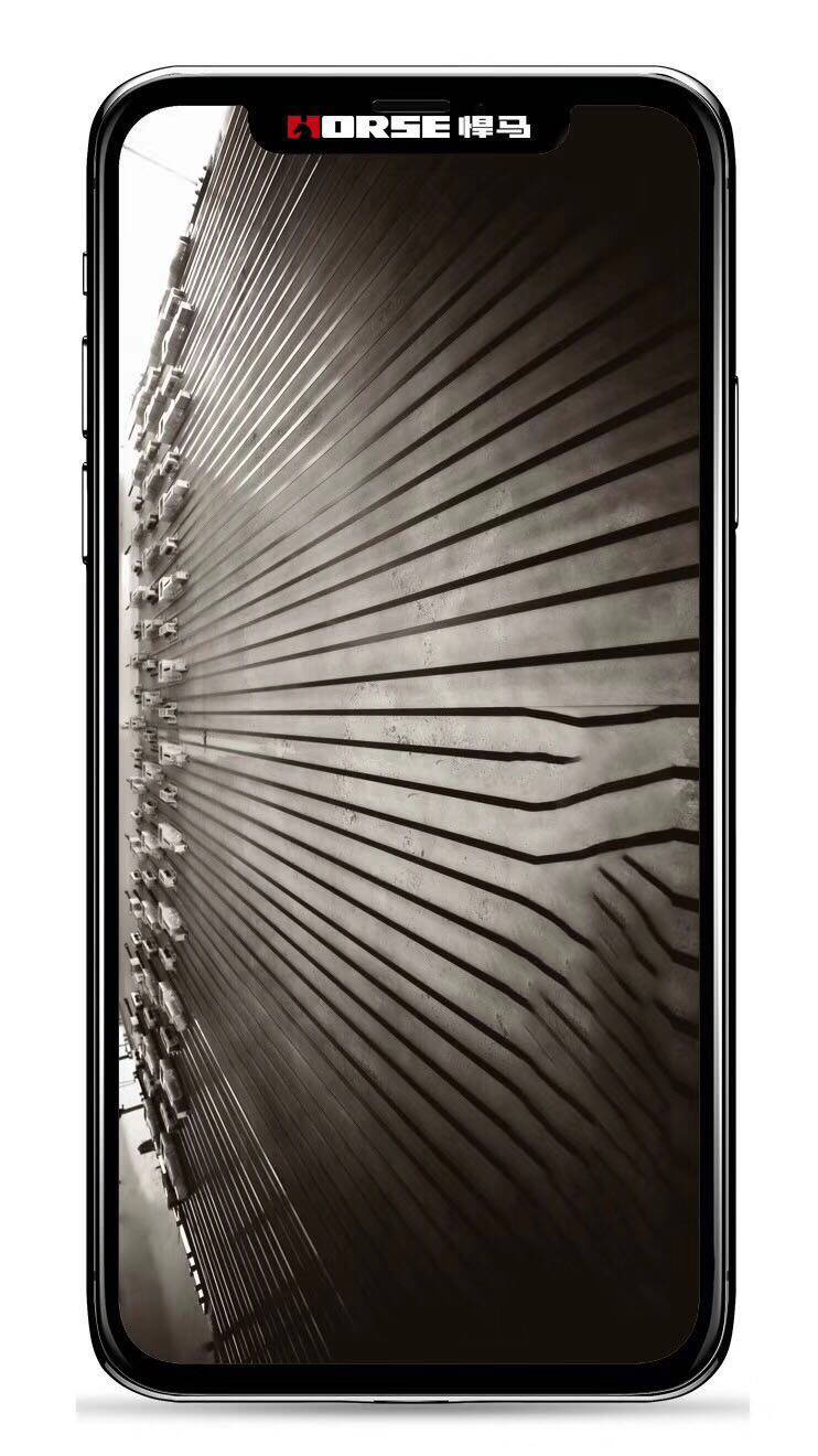 Prestressed CFRP plate system Prestressed CFRP plate system