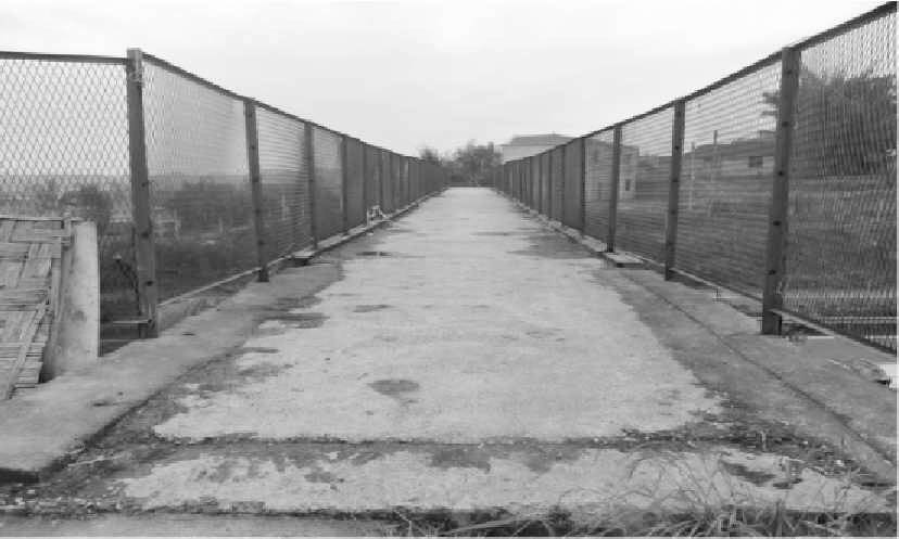 1591776584958406.jpg 1.jpg