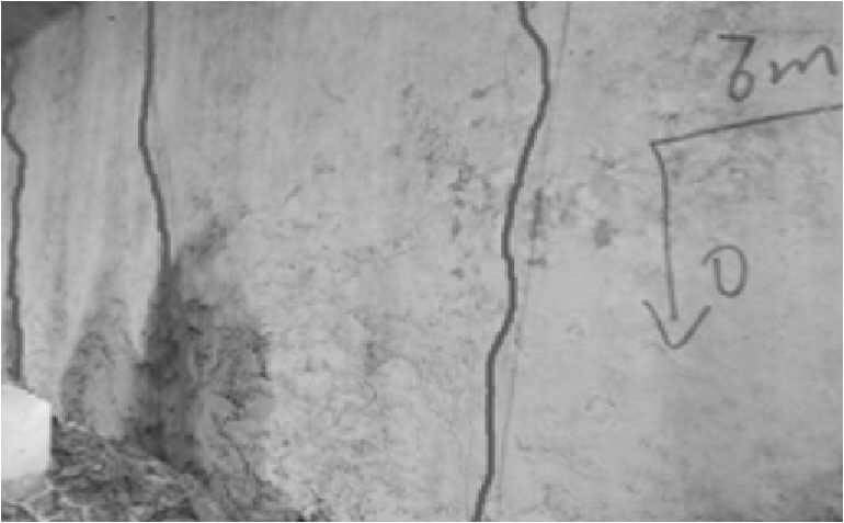 1591776692244614.jpg 1.jpg