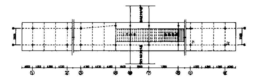 1595494884415482.jpg 1.jpg