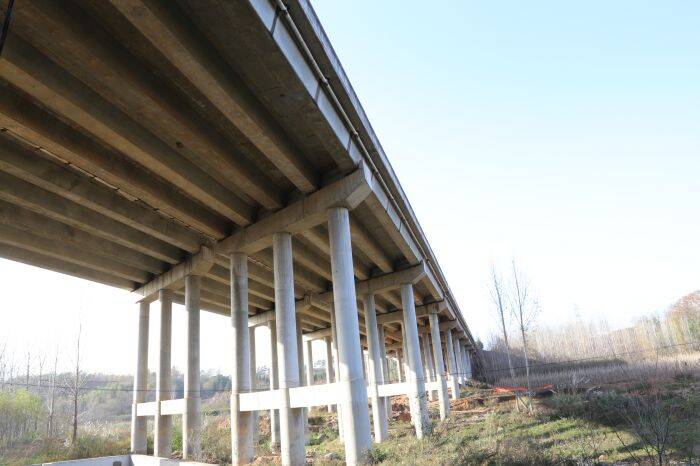 1697012880242397.jpg IMG_3342.jpg