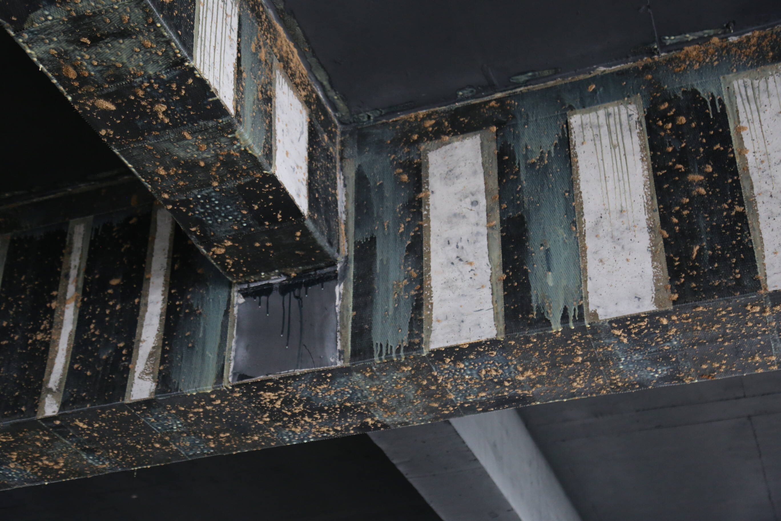 1750661429725154.jpg IMG_0014.JPG